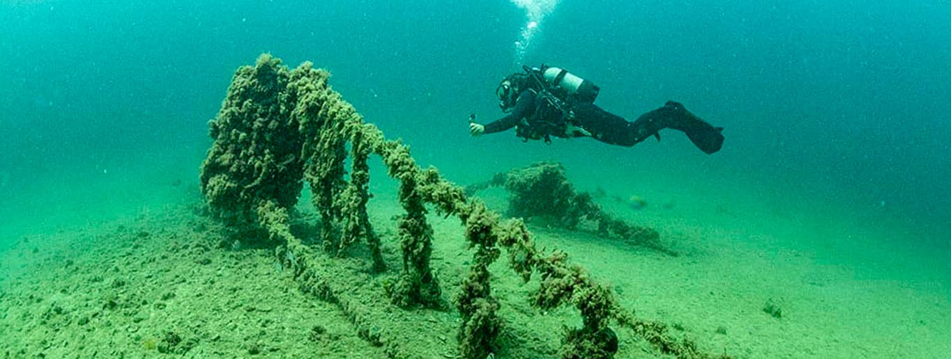 other/maniaana.jpg other/maniaana.jpg